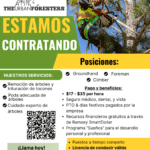 Imagen miniatura para la imagen principal del anuncio